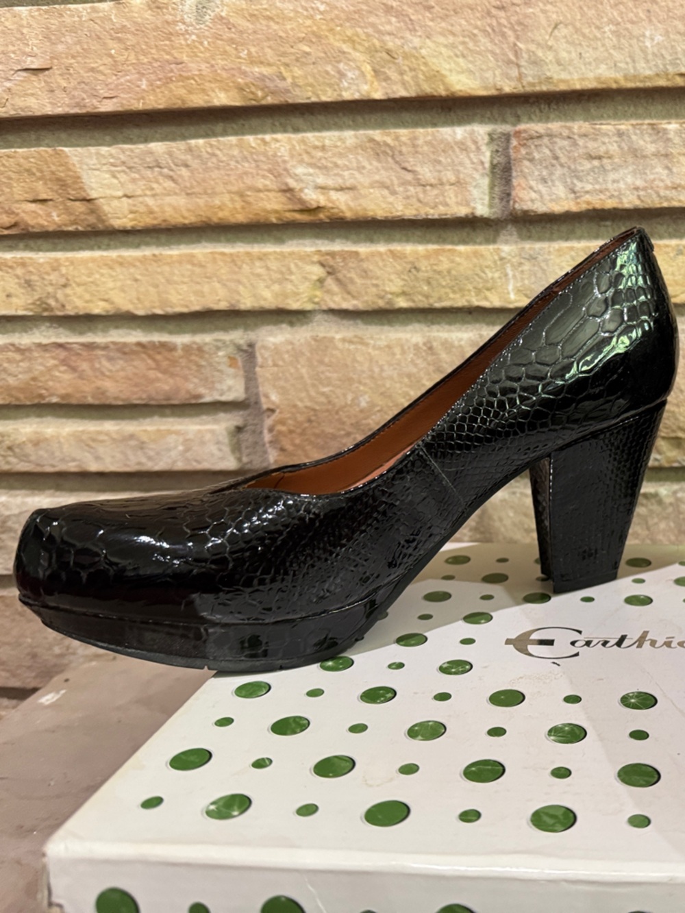 Earthies Black Croc-Embossed Block Heel Pump